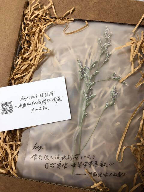 最愛豆干2